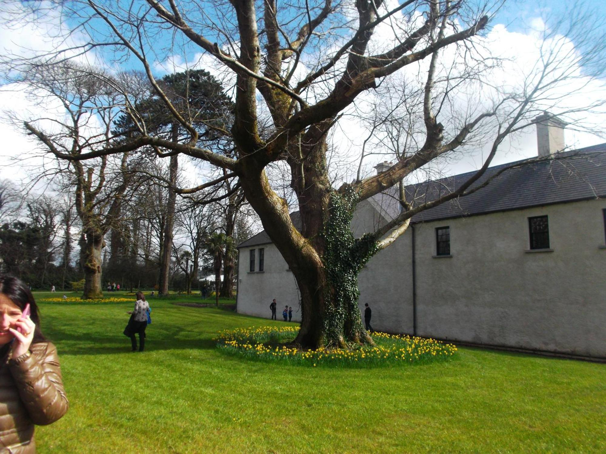 Kerry Holiday Homes At The Killarney Holiday Village Ngoại thất bức ảnh